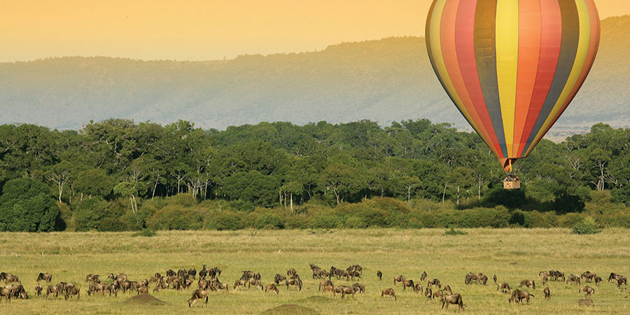 3 Days Masai Mara Flight Safari - From $1,500 pps