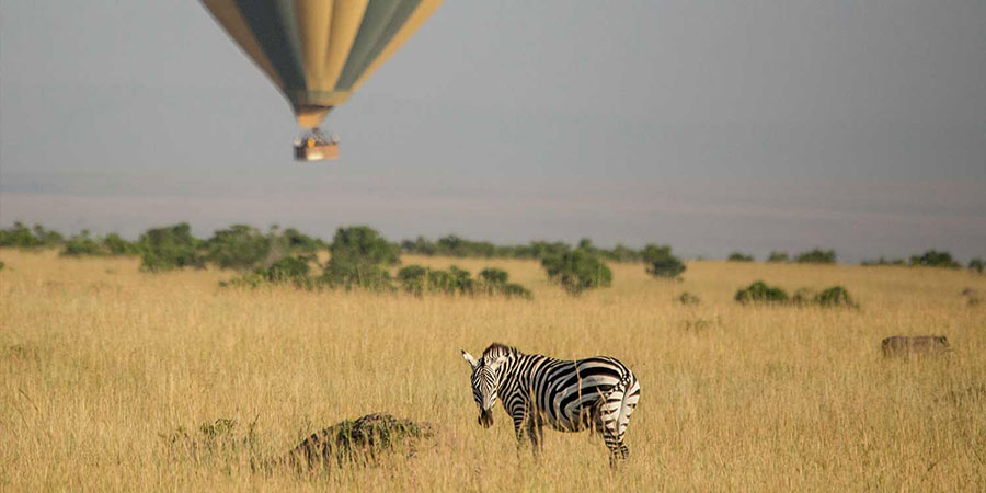 3 Days Samburu Air Safari - From $1,310 pps