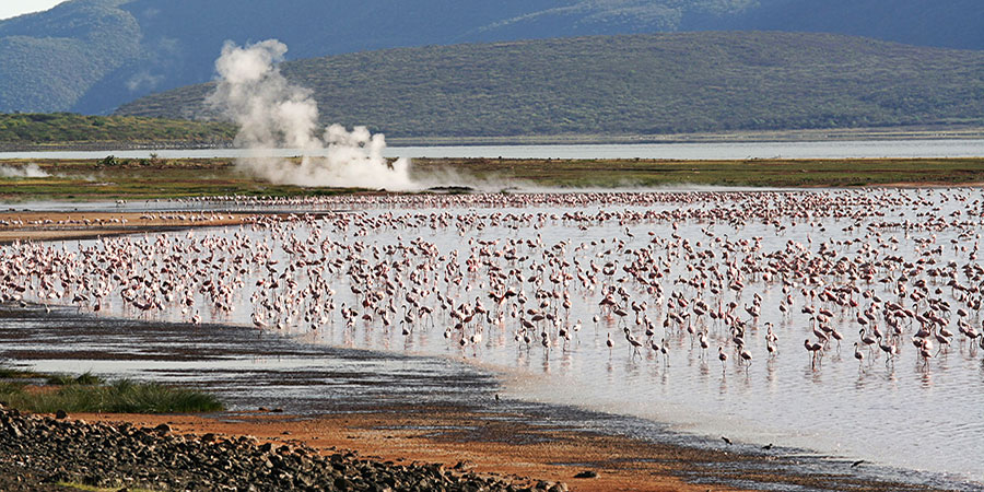 6 Days Rift Valley - Baringo - Bogoria - Nakuru - Naivasha Lakes - Masai Mara
